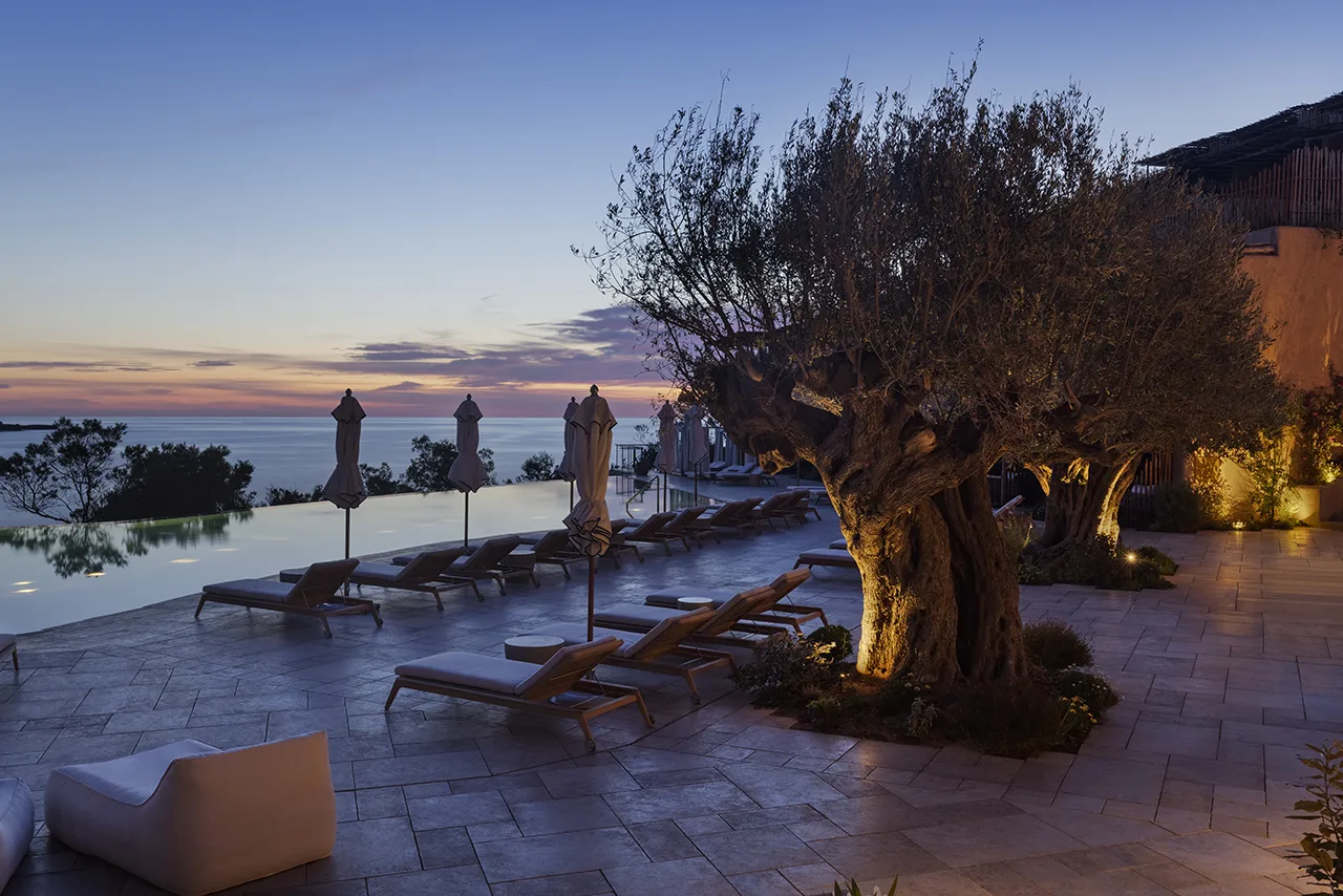 Six Senses - pool, loungers and olive tree